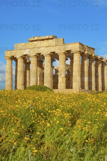 Temple of Hera or Temple E, Selinunte Archaeological Park, Selinunte, Trapani district, Sicily,