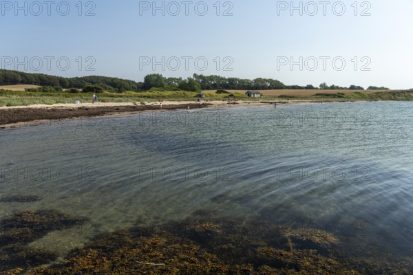 Sandy beach beach near Aasö, Langeland Island, Denmark, Europe