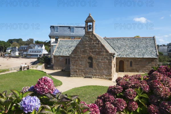 A historic stone church surrounded by hydrangeas and traditional buildings in sunny weather,