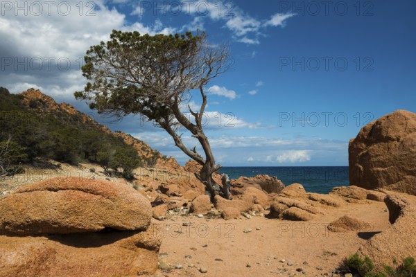 Red rocks and sea, Spiaggia di Coccorocci, near Tertenia, Province of Ogliastra, Sardinia, Italy,