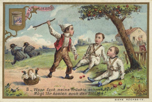 Picture series Children as fruit thieves, if you like my fruit, you may also taste the stick,