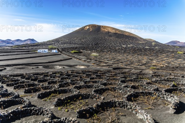 2016, La Geria, Lanzarote, La Geria, ESP, Spain, Canary Islands, Canary Islands, Atlantic Ocean,