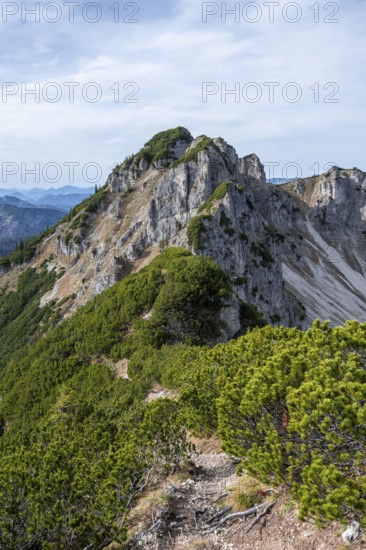 Hiking trail, Bayrischer Schinder, Tegernsee mountains in the Mangfall mountains, Germany, Europe