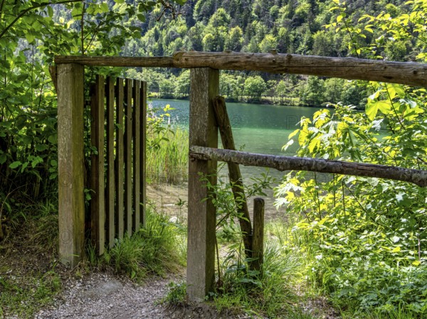 Landscape at Lake Thumsee, Bad Reichenhall, Bavaria, Germany, Europe