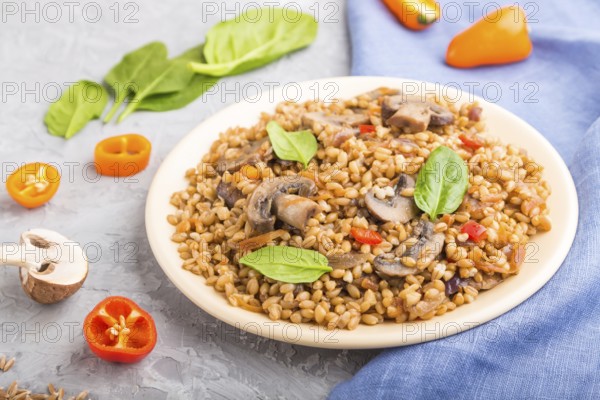 Spelt (dinkel wheat) porridge with vegetables and mushrooms on ceramic plate on a gray concrete