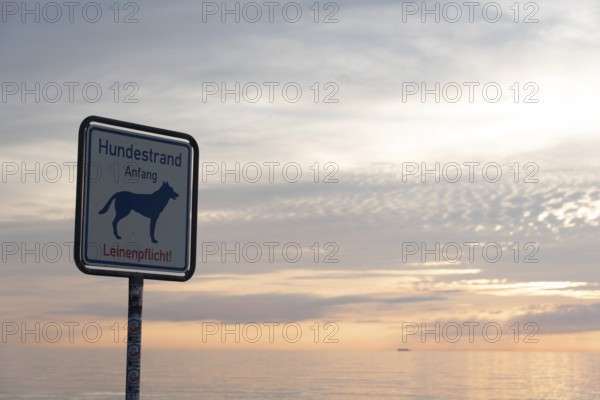 Sign on the dog beach at sunset with calm sea and cloudy sky, dog symbol and leash requirement