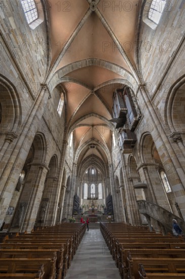 Interior with vault of Bamberg Cathedral, consecration 1237, Bamberg, Upper Franconia, Bavaria,