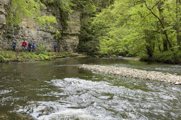 Hiking trail by the river, Wutach Gorge, Bonndorf, Baden-Württemberg, Black Forest, Germany, Europe