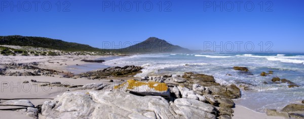 Platboom Beach, Cape Point, Cape of Good Hope, Cape Peninsula, Western Cape, South Africa, Africa