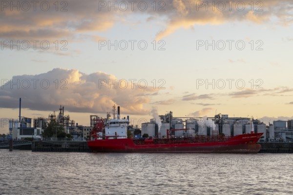 Tanker in front of the oil harbour, evening light, Hamburg, Germany, Europe