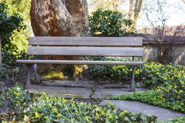 Bible verse on a bench, surrounded by winter aconites (Eranthis hyemalis) in bloom, Alleestraße