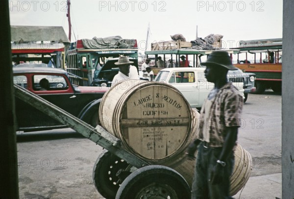 Bues and cars at the harbour, wooden barrels of codfish in foreground, Castries, St Lucia, West