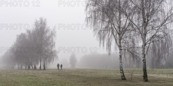 Landscape photography, fog in January, Berlin Lübars, Germany, Europe