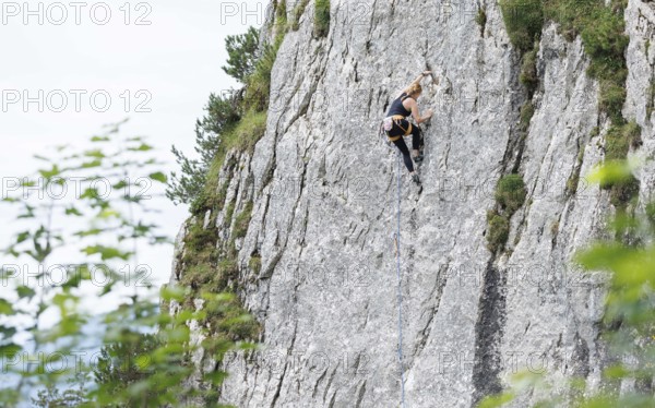 A woman climbs a route on the Spitzsteinwand in Erl, 14.07.2024