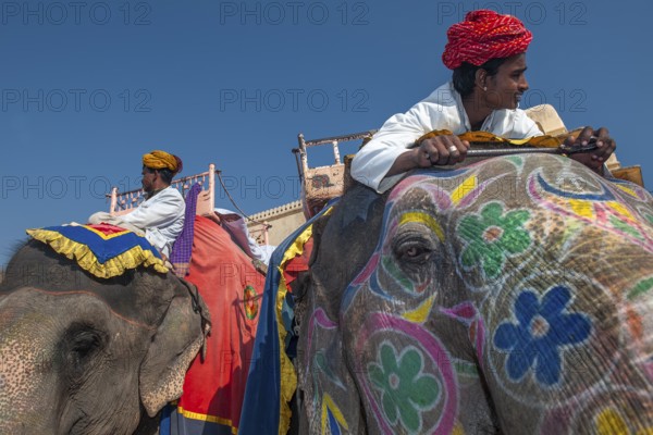 Mahuts or elephant handlers on painted elephant, Amber Fort or Amber Fort, Jaipur, Rajasthan,