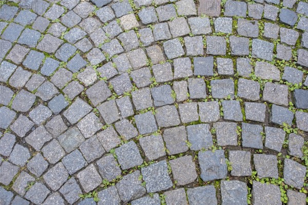 Cobblestone, texture, background, Münsterland, North Rhine-Westphalia, Germany, Europe