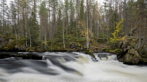 River course in Oulanka National Park, Finland, Europe