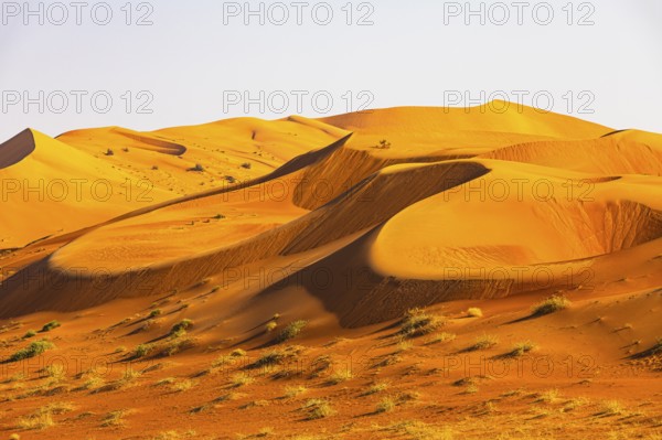 Wind-sculpted curved sand dunes in the Rub al Khali desert, Dhofar province, Arabian Peninsula,