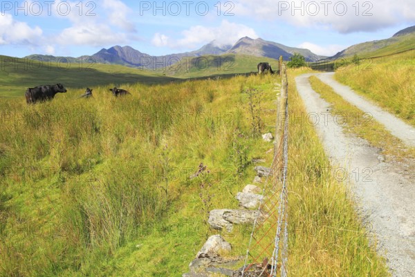Mount Snowdon landscape view west from Nantygwryd valley, Gwynedd, Snowdonia, north Wales, UK