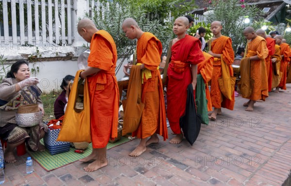 Morning Alms ceremony, Luang Prabang, Laos, Asia