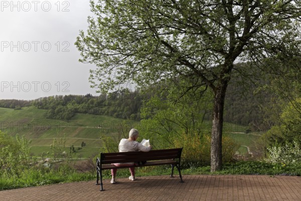 Senior citizen sitting on a bench and reading a newspaper, spring, spa garden Badenweiler,