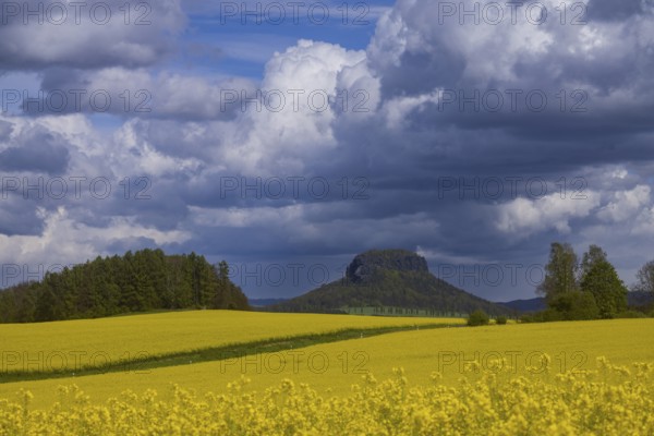 The Lilienstein is the most famous striking rock formation in Saxon Switzerland, Struppen, Saxony,