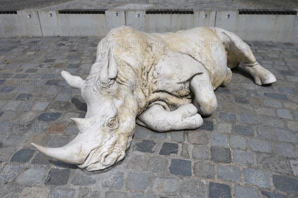 Sculpture of a sleeping Rhino, 2016 created by the artist Dorota Hadrian from Krakow, Egidienplatz,