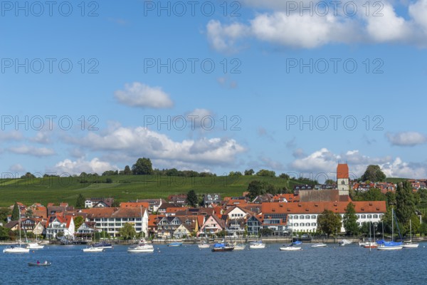 Townscape, sports boats, church, blue sky, vineyards, Hagnau on Lake Constance, Baden-Württemberg,