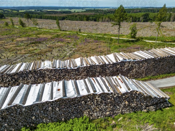 Large tree stacks, Cleared forest in the Eggegebirge, near Lichtenau, Paderborn district, site of a