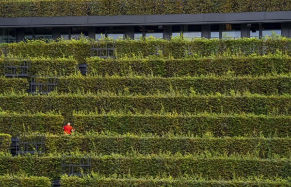 Green façade, made of over 30, 000 hornbeams forming a hedge a good 8 kilometres long, on the roof
