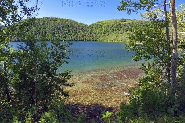 A clear lake seen from a wooded shore surrounded by green mountains under a blue sky, Gaspesie,