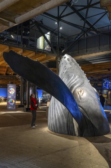 Plante Ozean exhibition in the Gasometer in Oberhausen, the world's oceans in their fragile beauty