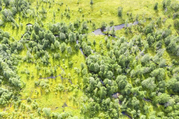 Aerial view of stream and ponds in the Veitastrond valley, Norway, Europe