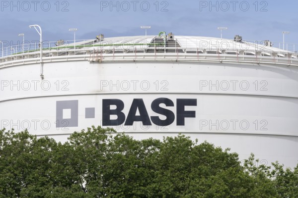 BASF, Lugwigshafen am Rhein, industrial area, Mannheim, Baden-Württemberg, Germany, Europe