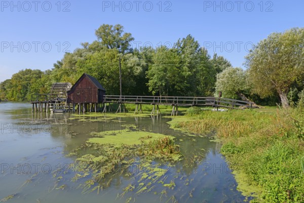 A wooden footbridge leads to a wooden mill on the calm waters of the Little Danube surrounded by