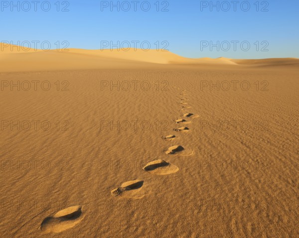 Footprints run through a quiet, sunlit desert with large sand dunes and a clear blue sky, Matruh,