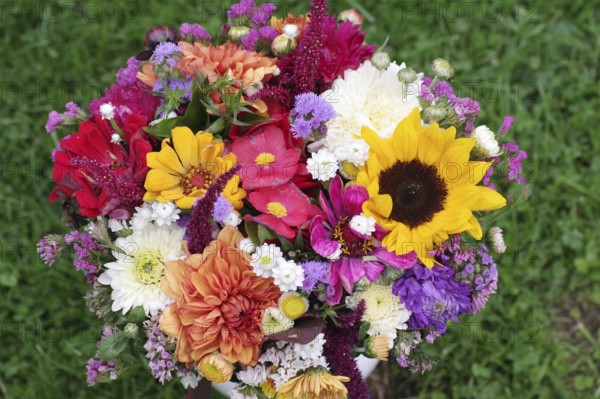 Bouquet of flowers, colourful, autumnal, gift, decoration, close-up of a colourful bouquet of