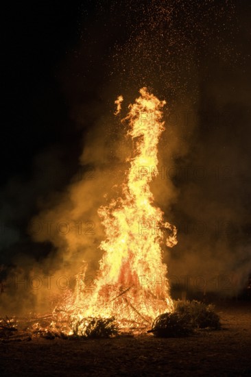 Environmental pollution, fire from discarded Christmas trees, Ostfildern-Plieningen,