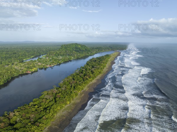 Aerial view, beach and sea, coast with rainforest, Tortuguero National Park, Costa Rica, Central