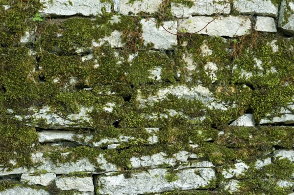 Dry masonry, mossy wall made of natural stones, background image, Wülzburg Fortress, Renaissance