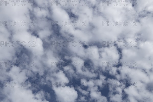 Altostratus white clouds in a blue sky, England, United Kingdom, Europe