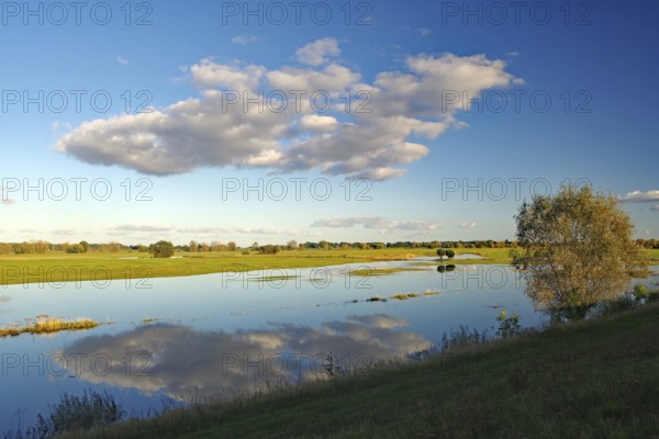 Flooded Elbe meadows reflect the clouds in the blue sky in the middle of a vast landscape, autumn,