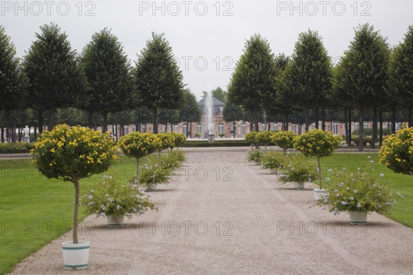 Alley lined with yellow flowering trees and blue flowers in containers in the Schwetzingen palace