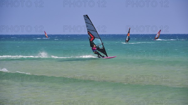Several windsurfers glide over the blue sea under a clear sky, surfer's paradise, kitesurfer,