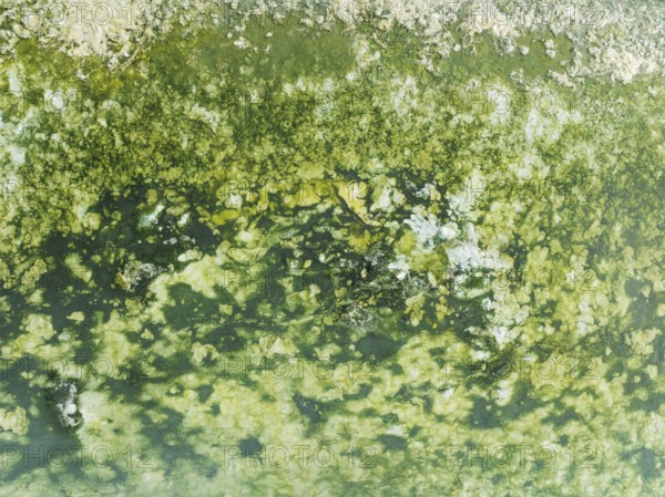 Detail of salt marshes near Sanlúcar de Barrameda. Aerial view. Drone shot. Cádiz province,