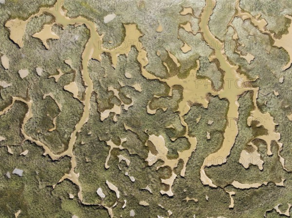 Network of channels and streams at low tide. In the marshland of the Piedras River. Aerial view.