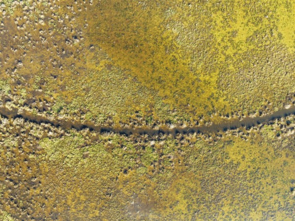 Detail of marshland near Sanlúcar de Barrameda. Aerial view. Drone shot. Cádiz province, Andalusia,