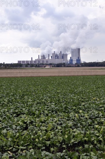 Niederaußem power plant, a base-load power plant operated by RWE PowerAG using lignite in