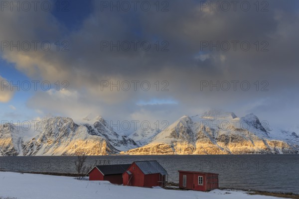 Red boathouses, coast, snowy mountains, fjord, morning light, clouds, snow, Lyngen Alps, Norway,