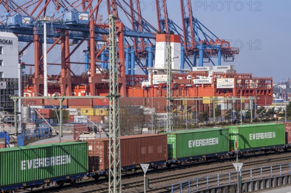 Port of Hamburg, Waltershofer Hafen, container ships, goods train with containers and container